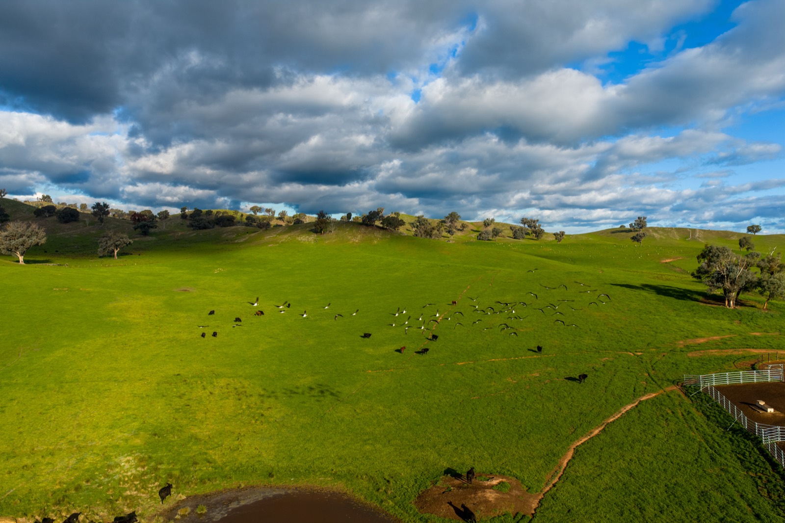 Farm