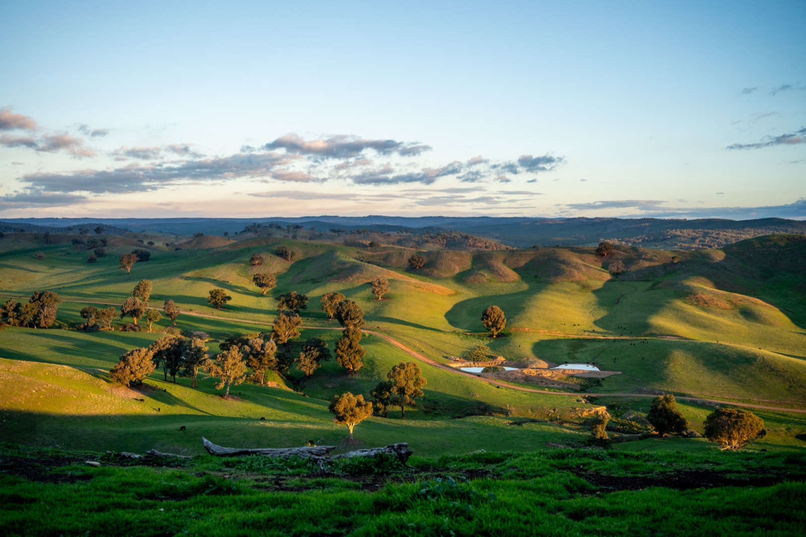 Farm payroll