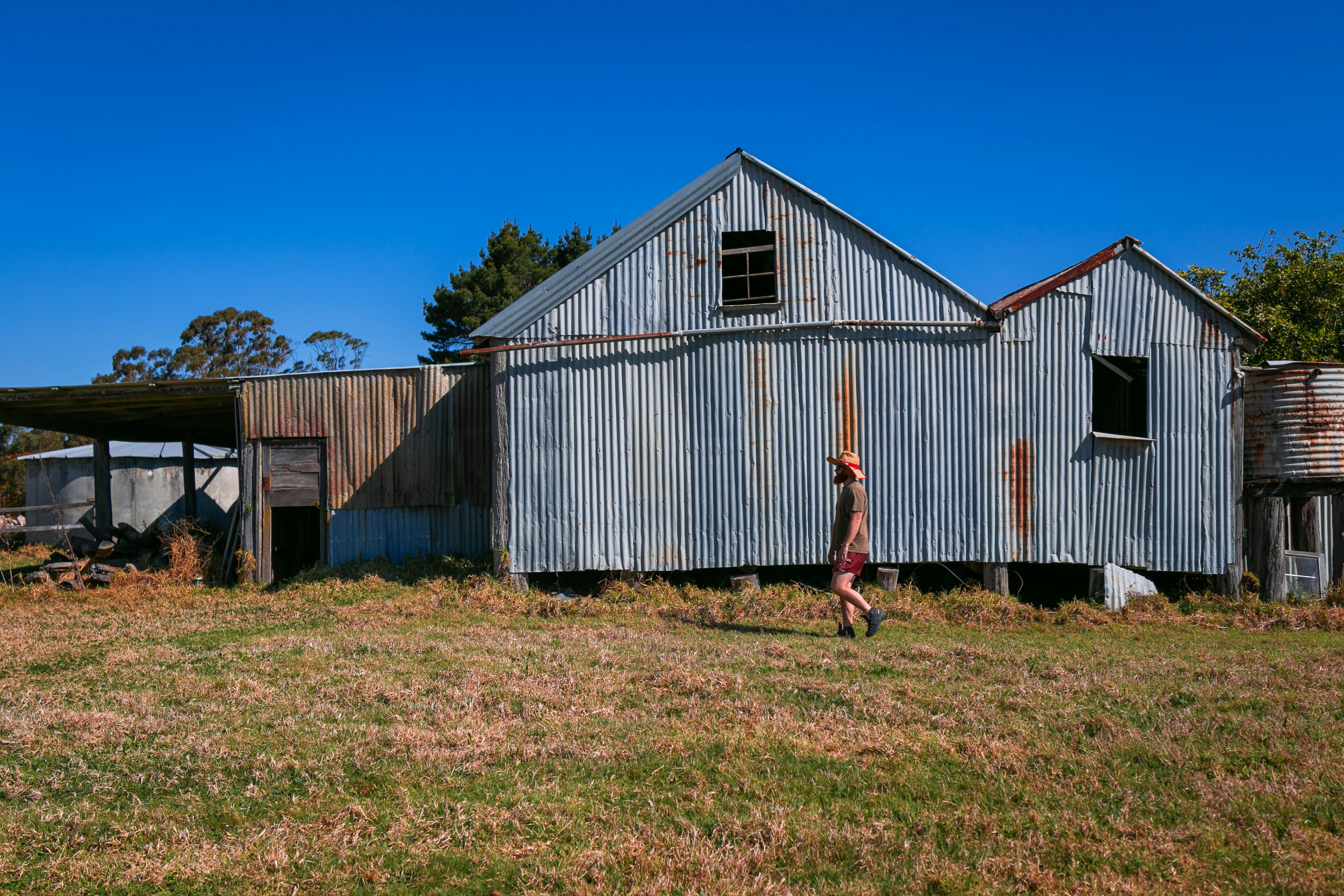 Person at farm shed