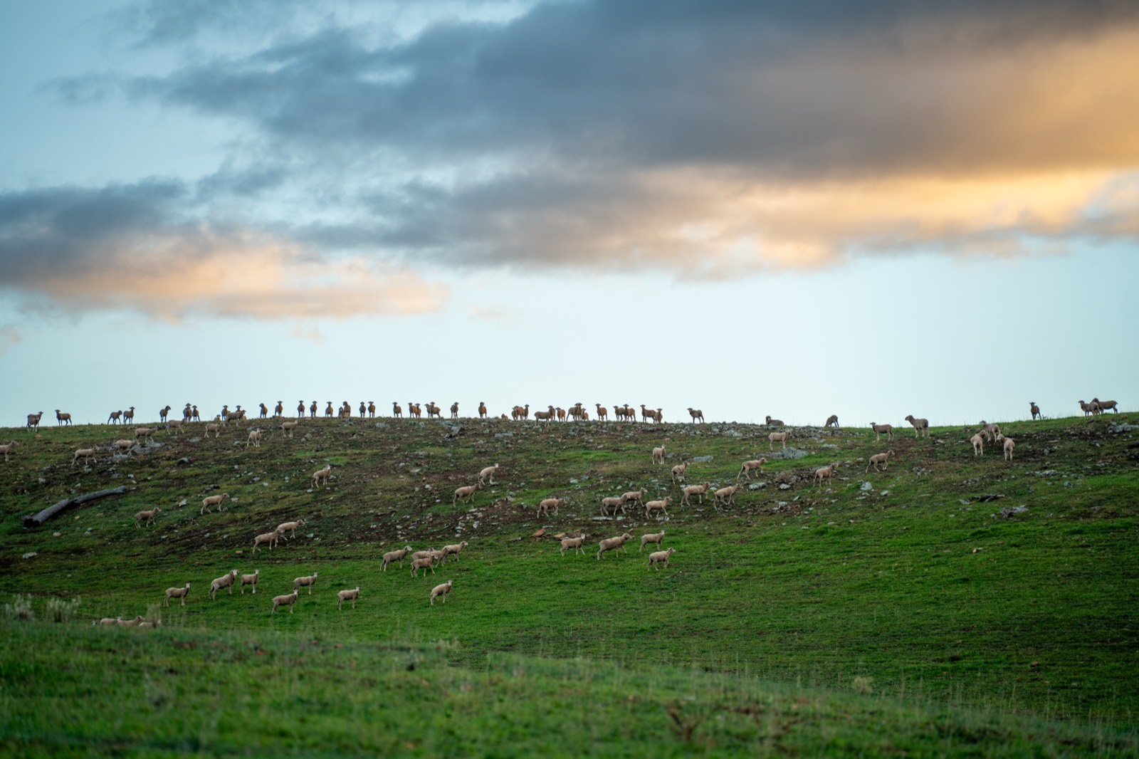 Farm safety records and documentation
